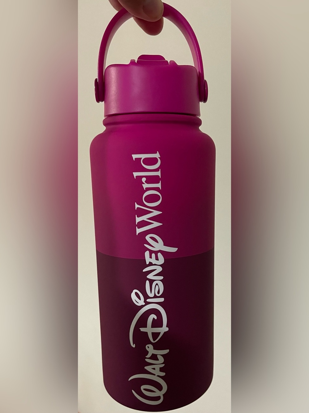 NWT Disney World Pink Water Bottle